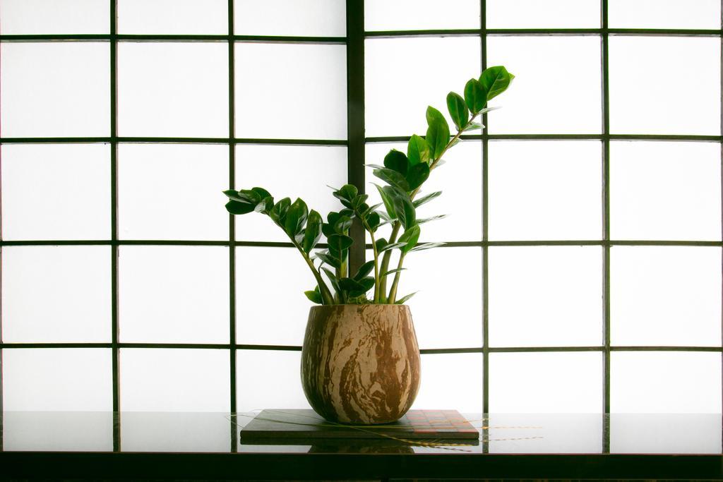 Hosta Nijo Aoi Casa de férias